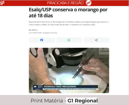 Print Matéria - G1 Regional
