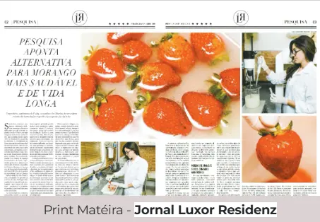 Print Matéria - Jornal Luxor Residenz